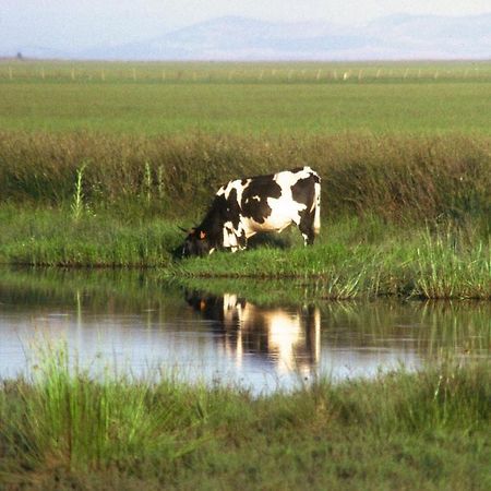 Гостевой дом Alojamiento Tartessos Вильяманрике-де-ла-Кондеса Экстерьер фото