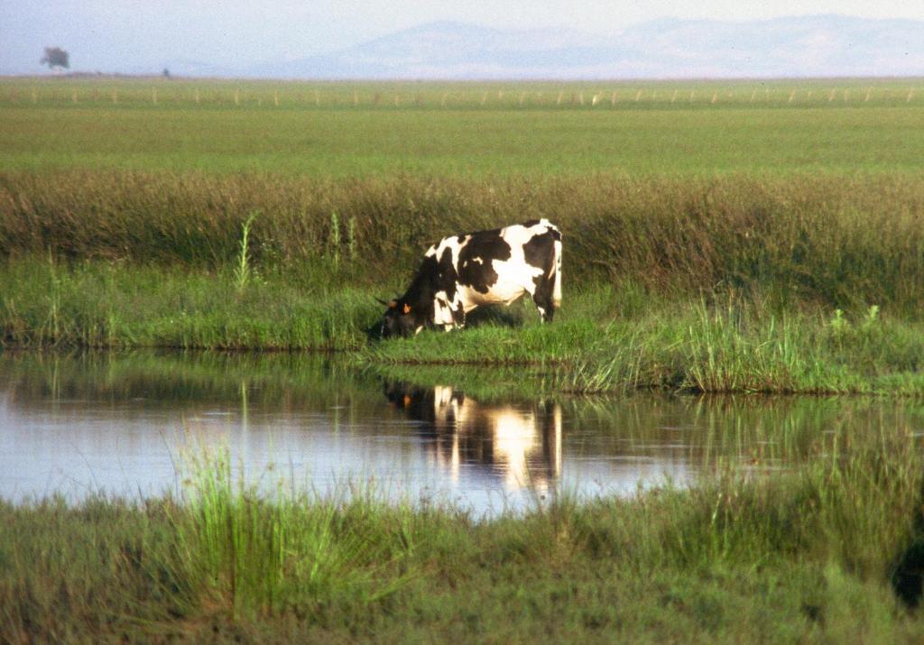 Гостевой дом Alojamiento Tartessos Вильяманрике-де-ла-Кондеса Экстерьер фото
